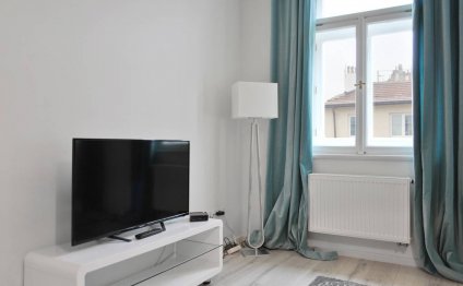 Luxury Renovated Flat Prague