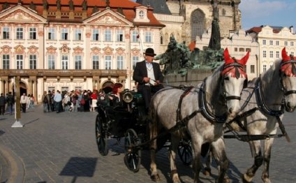 Places to Visit in Prague