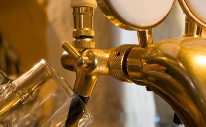 Pouring a glass of Budweiser