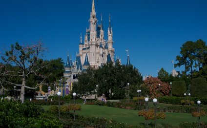 3. When to Go to Disney World