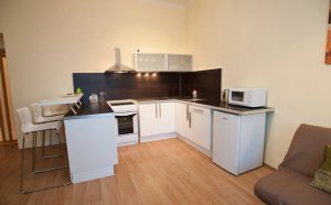 Apartments Rentals Prague