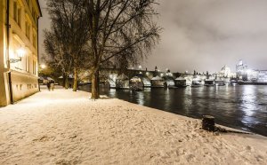 Archibald at the Charles Bridge Hotel Prague