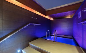 Wellness Hotel Step, Prague